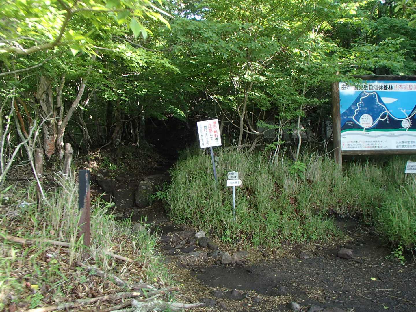 草原を歩いたら、いよいよ登山道へ
久しぶりで楽しみすぎます♪