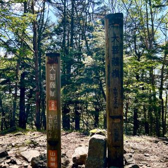 人気で賑やかなお山なのに地味な山頂…