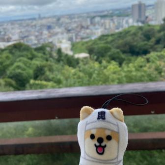 枡形山頂上🐶