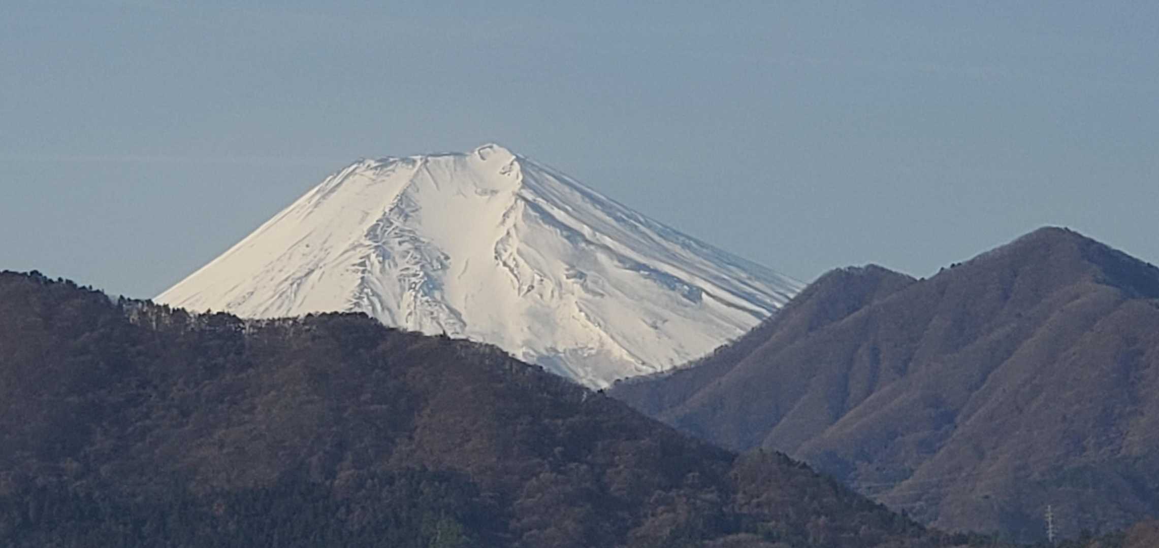 アップも撮る📸