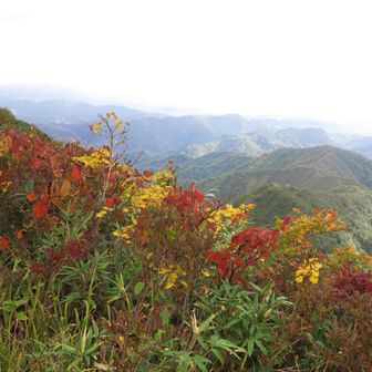 疣岩山山頂付近の紅葉