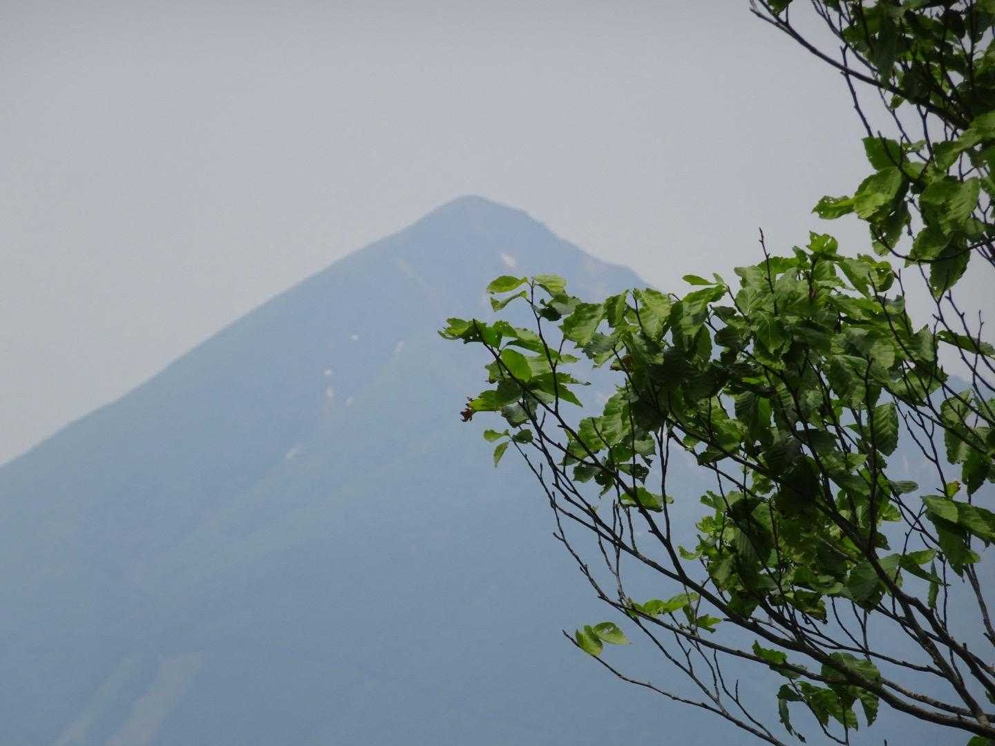 川桁山登山道入口-川桁山 縦走コースの写真