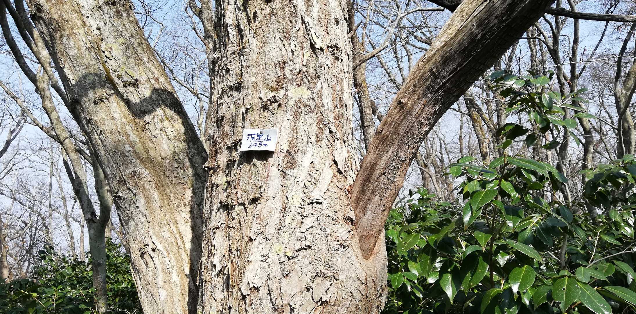 羽黒山山頂