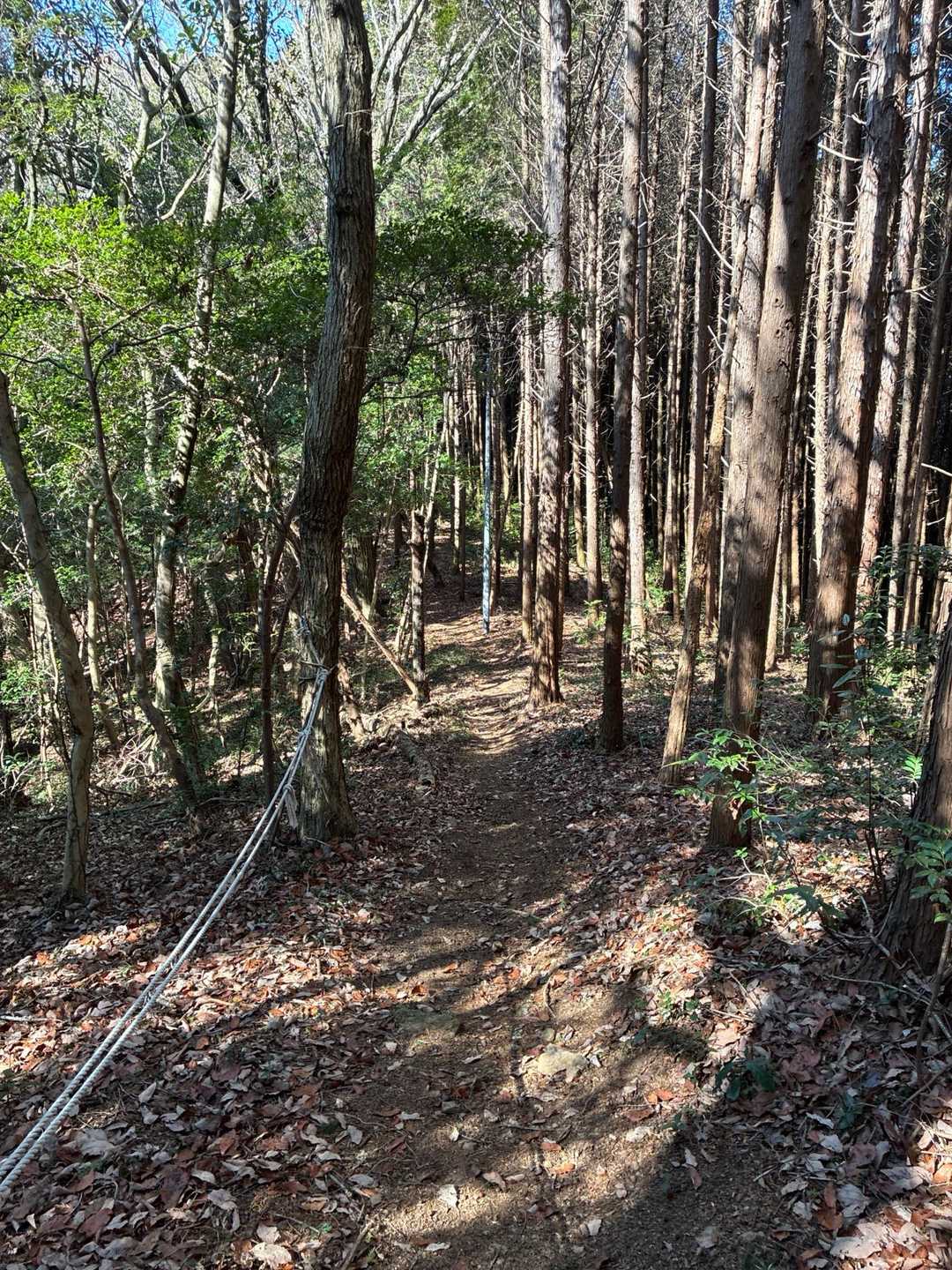 急坂　下山ロープ⤵️