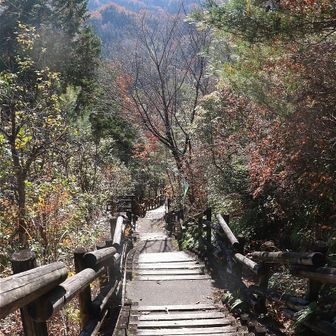 ここまで来たら疲れちゃったので、