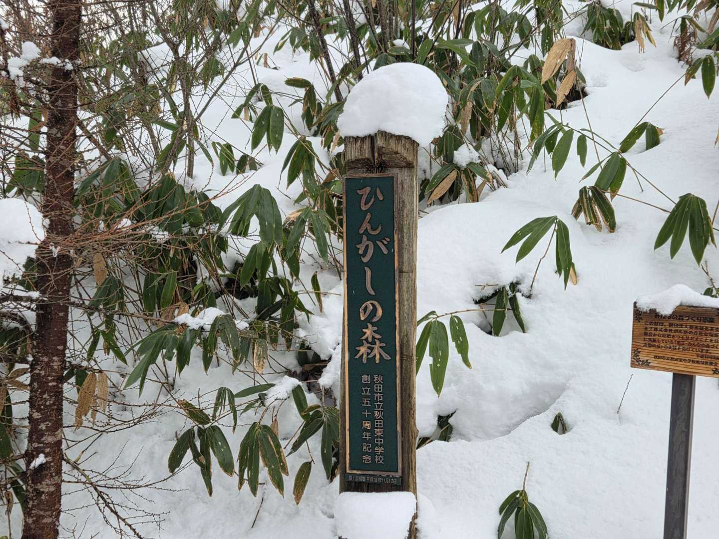 下山後、「木こりの宿」で♨️