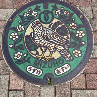 ご当地のマンホール🕳️蓋
鷹です、六道山近くに鷹🦅と思われる
小屋があった