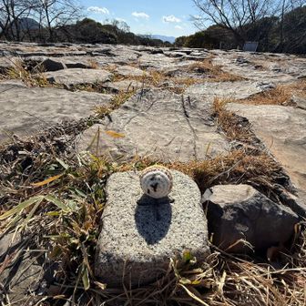 なるほど、これは知ってないと見つけれん