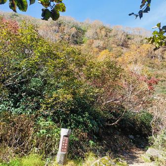 分岐に。ベンチあり小休止
左に行くと外輪を越えて黒沢池方面へ
今回は燕温泉♨️から周回のため右へ→
ここからは初めての道(長助池までは残雪期に数回来たことあり)