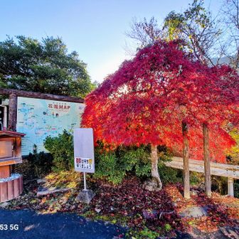 標高約400mのこの場所は丁度紅葉🍁が見頃です。
