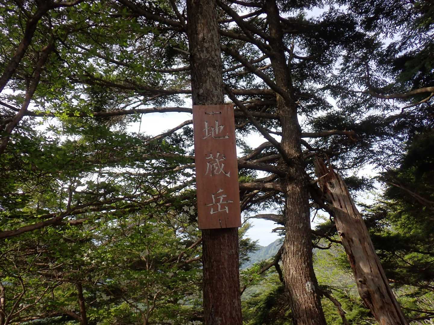 地蔵岳⛰️