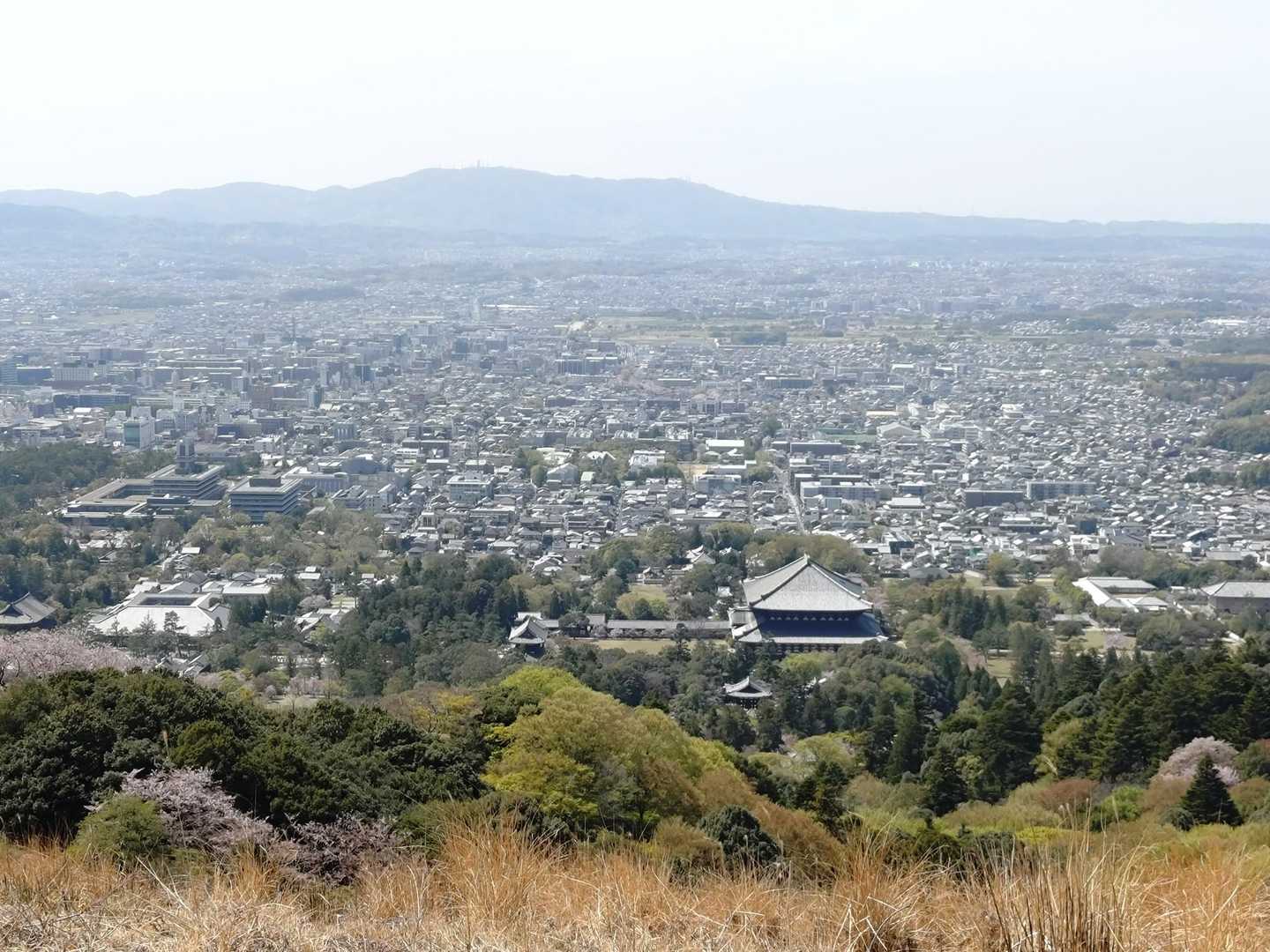 見下ろす東大寺