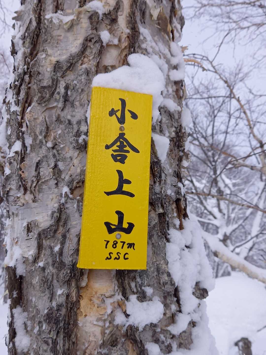 本日の主役です　😆🎵🎵