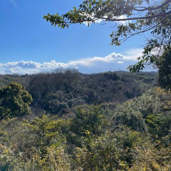 見晴らし良いです✨