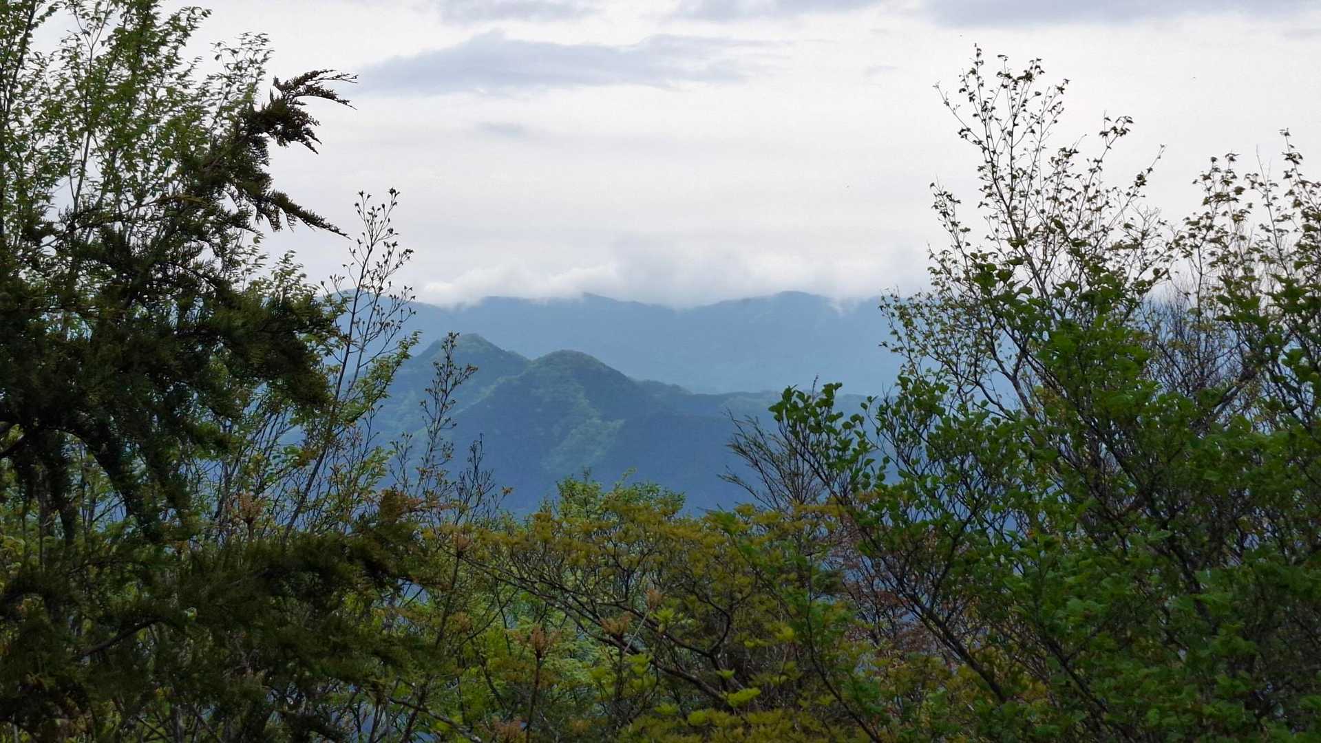 名郷バス停-鳥首峠-滝入ノ頭-ヤシンタイノ頭-有間山-蕨山 縦走コースの写真