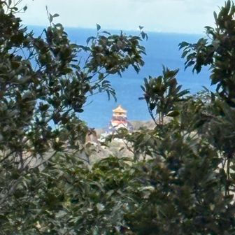 伊勢戦国時代村だったよね..
今は【伊勢忍者キングダム】って言うらしい

息子達が小さい頃にお邪魔したっけ☺️
正直、親からしたら
この金額でこのクオリティ⁉️って思ったけど
（関係者の方々ごめんなさい🙇‍♀️）

息子達は楽しかったみたい👌
【大きくなったら忍者🥷になる】って言って
日々トレーニング😂
弟にも【兄者】って呼ばせてた本気度🤣

懐かしい時代を思い出して
胸がキューん💗