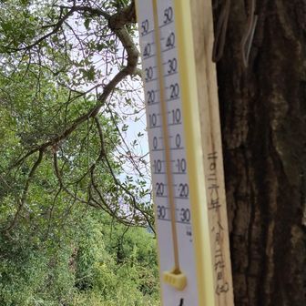 寒暖計が新しくなってる！
25℃でした