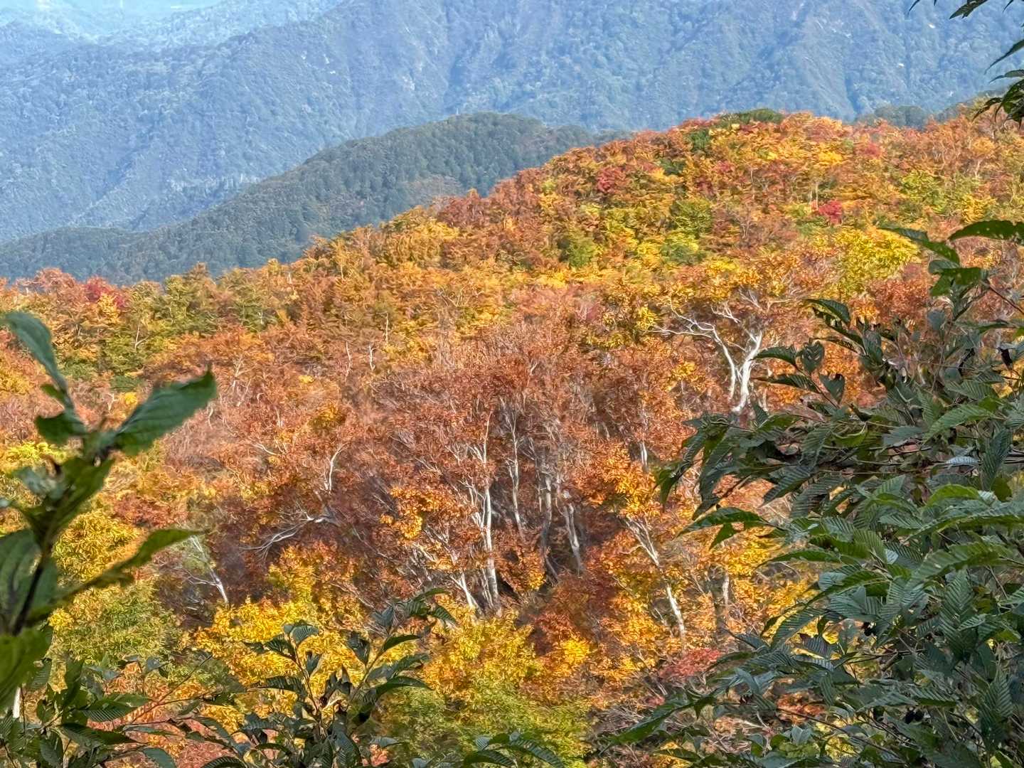 栗駒に負けてない❣️