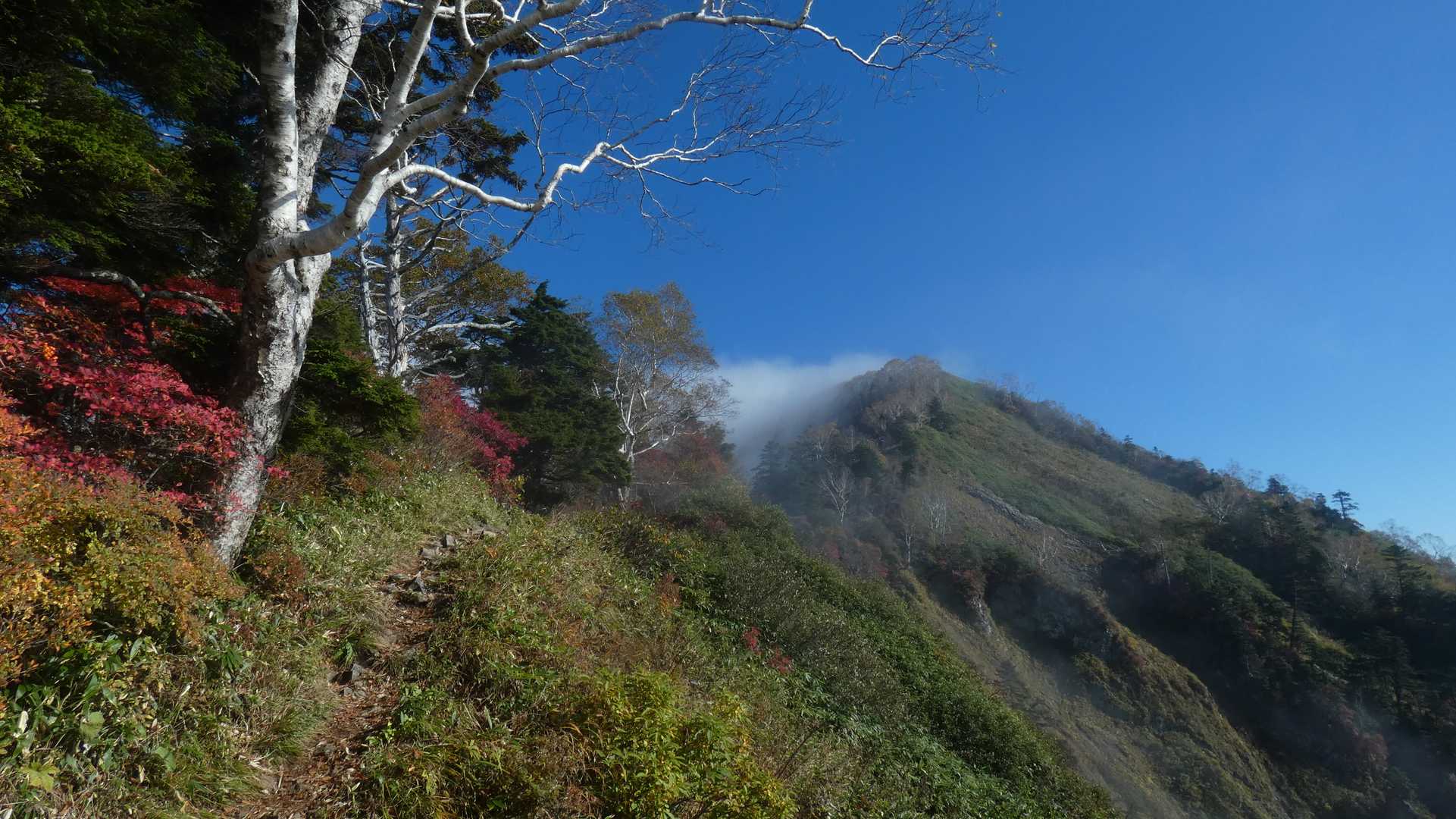 戸隠奥社-戸隠山-九頭龍山-五地蔵山-戸隠キャンプ場バス停 周回コースの写真