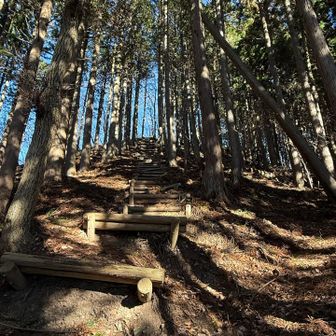階段も歩幅が合わない💦