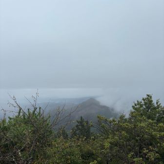 曇って見えません