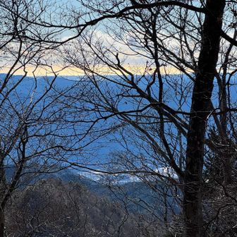 下山時、大井川から海🌊まで見えたけど、枝が邪魔してうまく写真に撮れないなぁ😢
