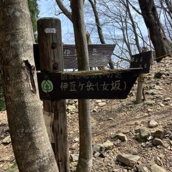 男坂は通行止め