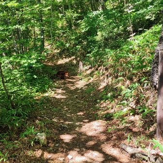 やっと空木岳登山口