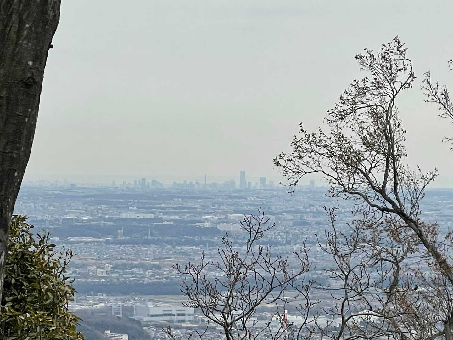 太平登山口-高取山 往復コースの写真