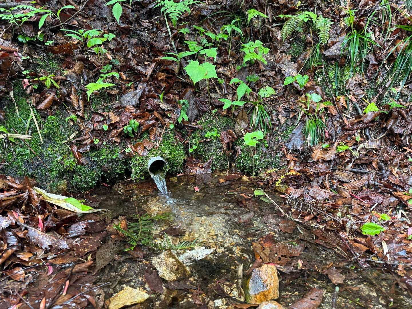 水場あり💧