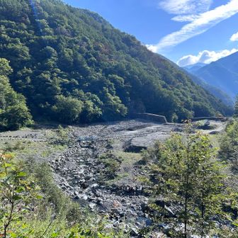 ルートの端に石が置いてあるのでわかりやすい