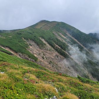 分岐からの展望🌱✨️
絶景だねー🥰

ここから一気に1900m下山開始です🐾
長いけどファイトー