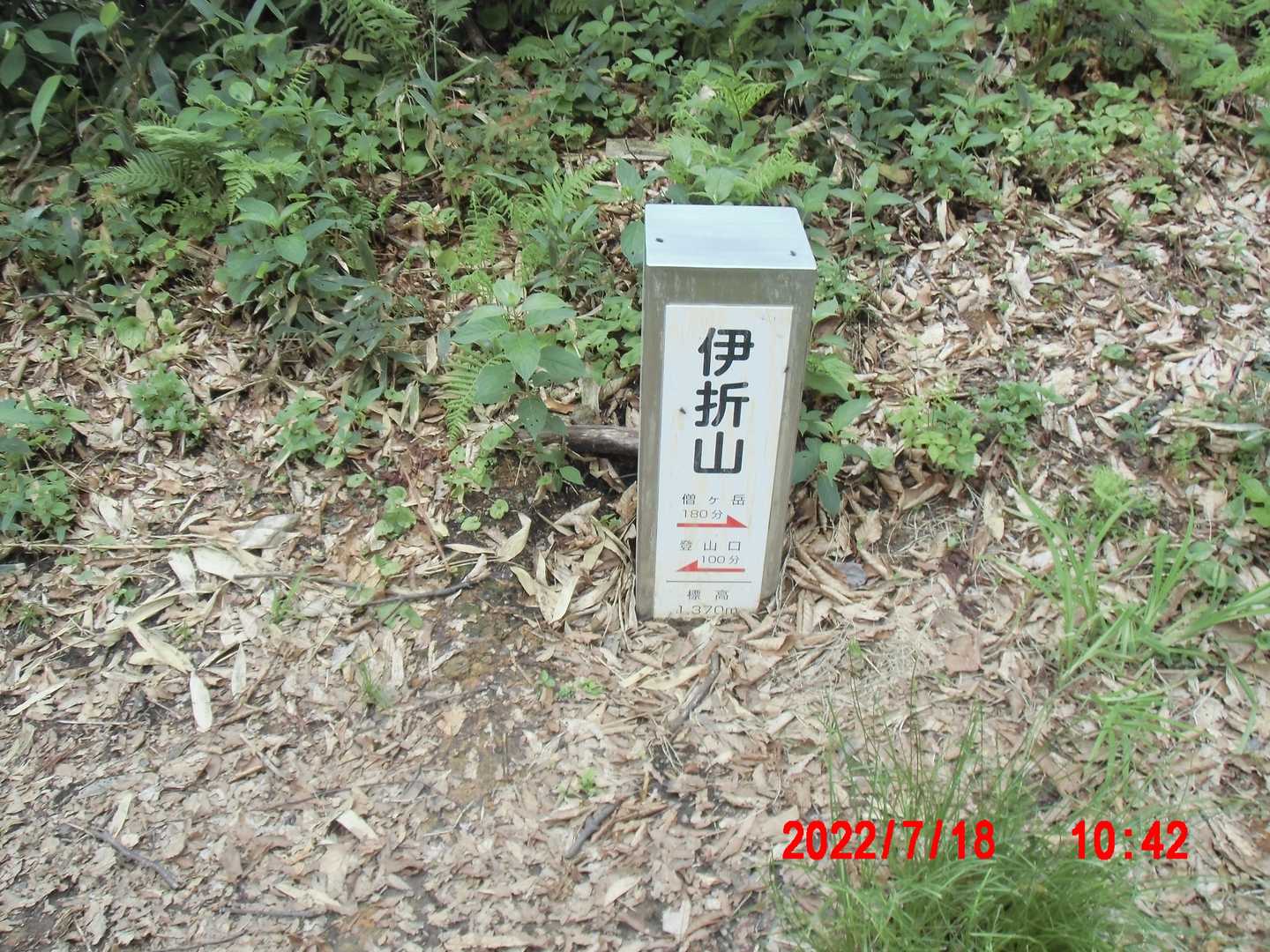 伊折山山頂の標柱