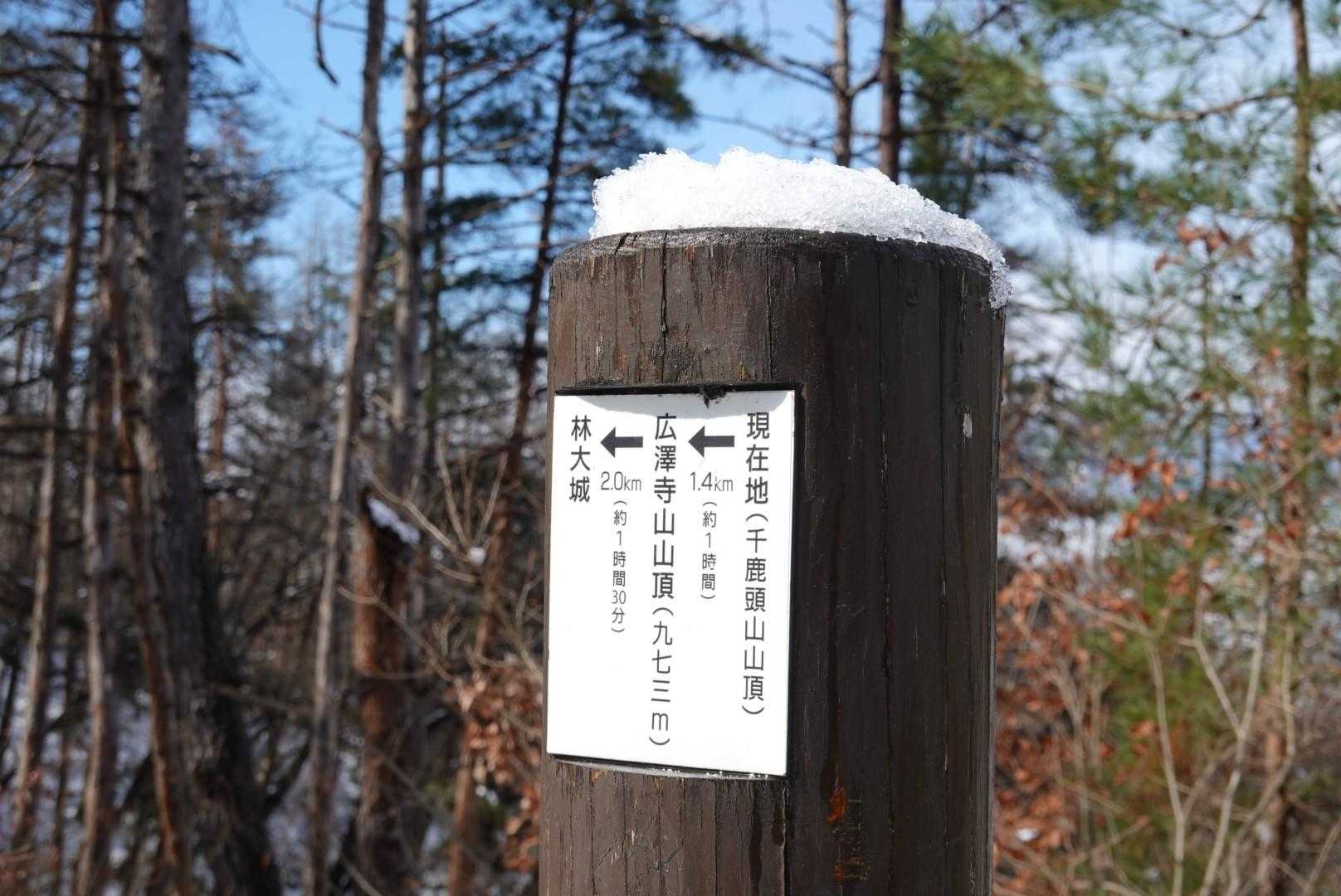 こういう標識がずっとあるので安心ですね