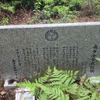 小学校校歌
他にも記念樹があちこちに
10年ほど前までは、遠足とかで来てたのかな