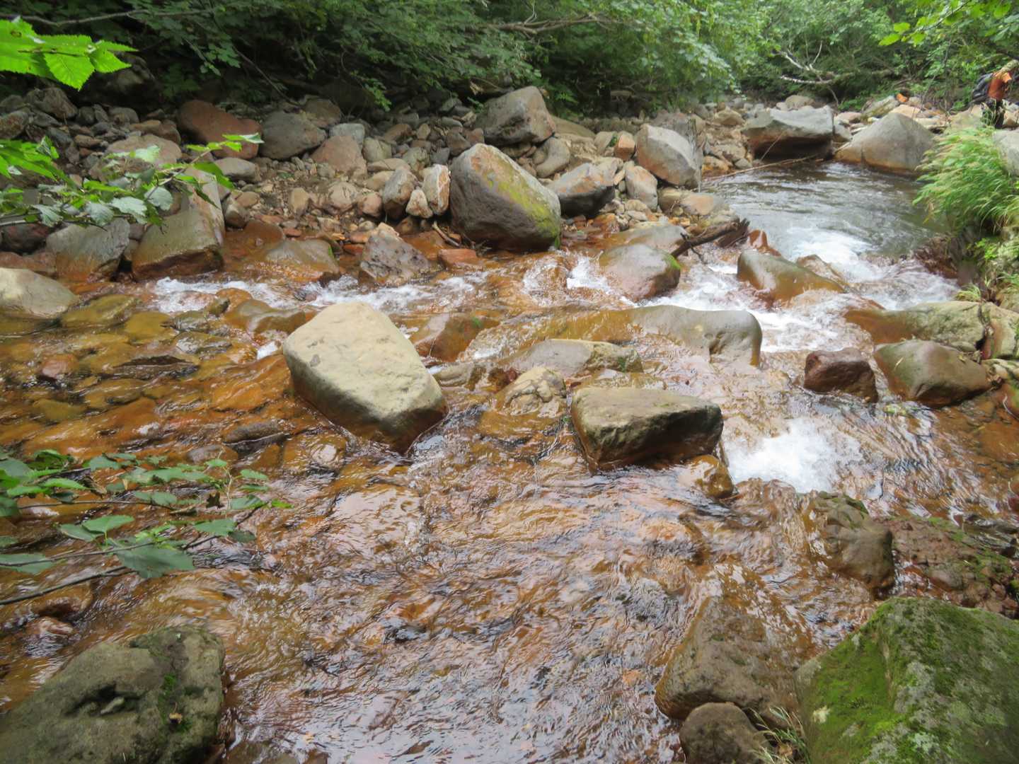 さあ、沢ともそろそろお別れ👋
水量が適量で楽しめました❕