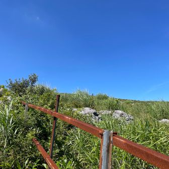 源氏ヶ駄場登山口到着。ハイクスタート🥾