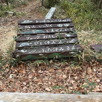 さっきより宗教色が弱くなってる…😮‍💨