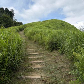 葛城山山頂に似てる？