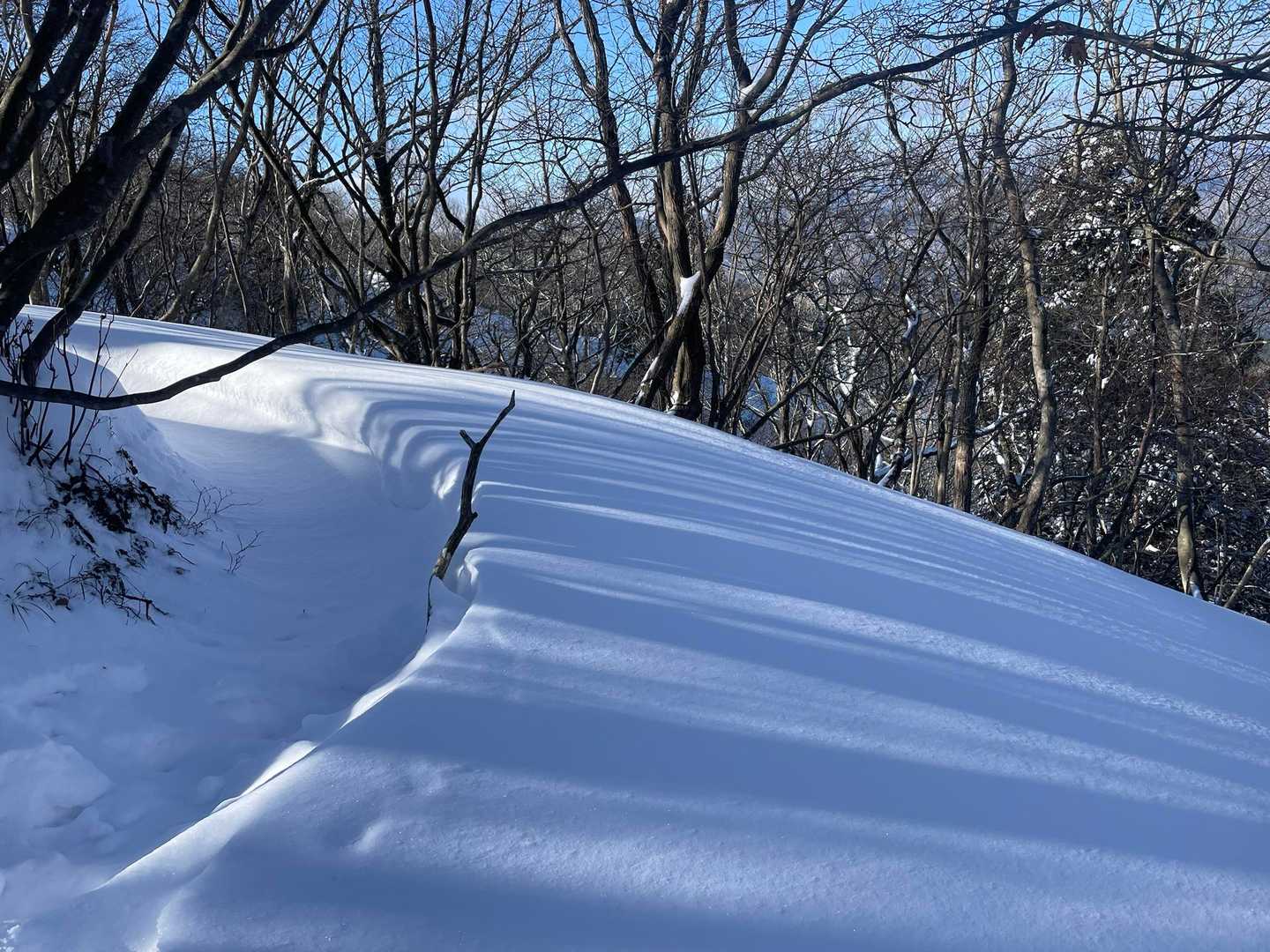 コレまたキレイ〜☃️✨