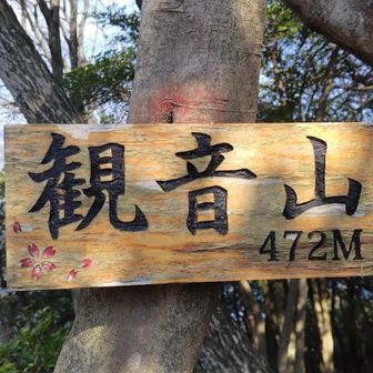 立派なプレート🌸
観音山いただきました😊