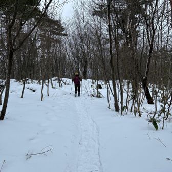 てくてく🚶‍♀️‍➡️