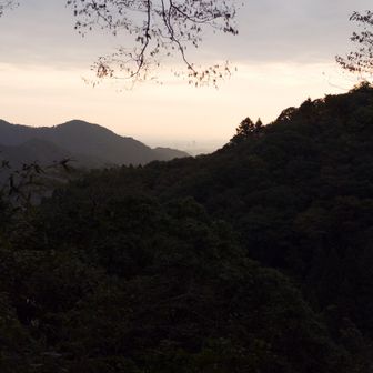 明るくなってきました。