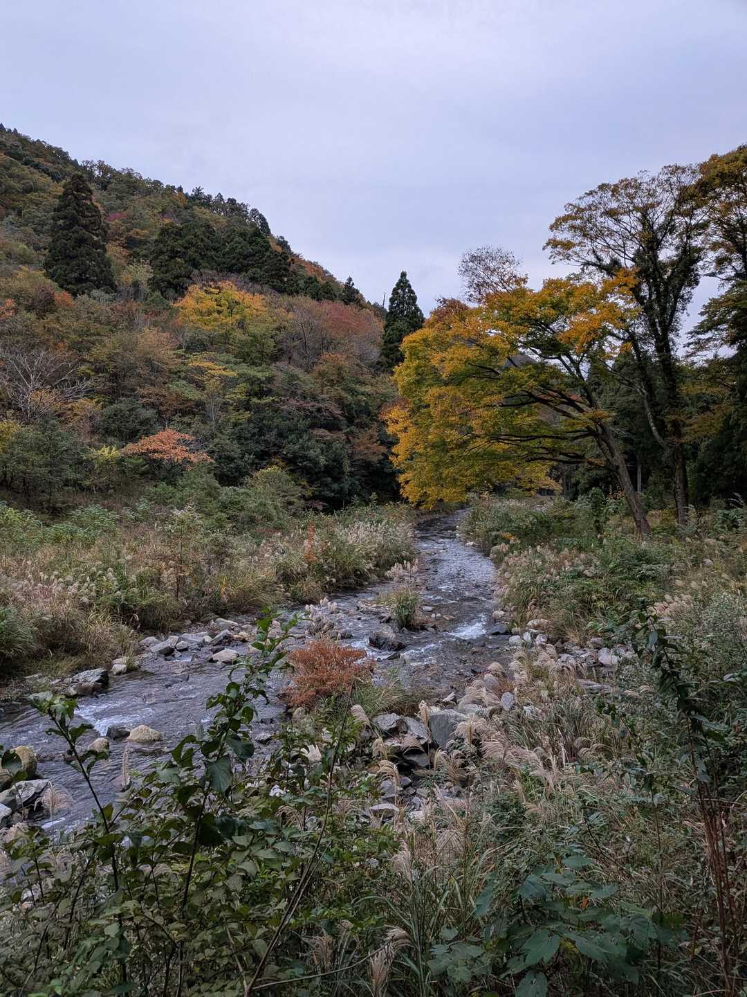 林道からの風景
こんなんも好きです😁