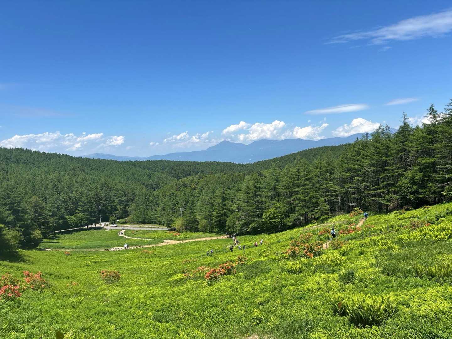ゴンドラ山頂駅-入笠山-大阿原湿原 往復コースの写真