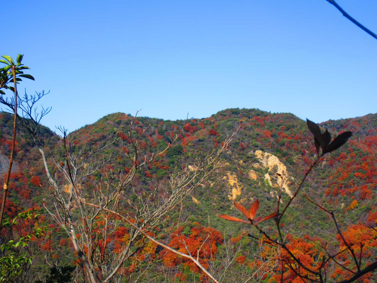 樫ヶ峰-社家郷山-行者山-行者山ハイキングコース西逆瀬台口 縦走コースの写真