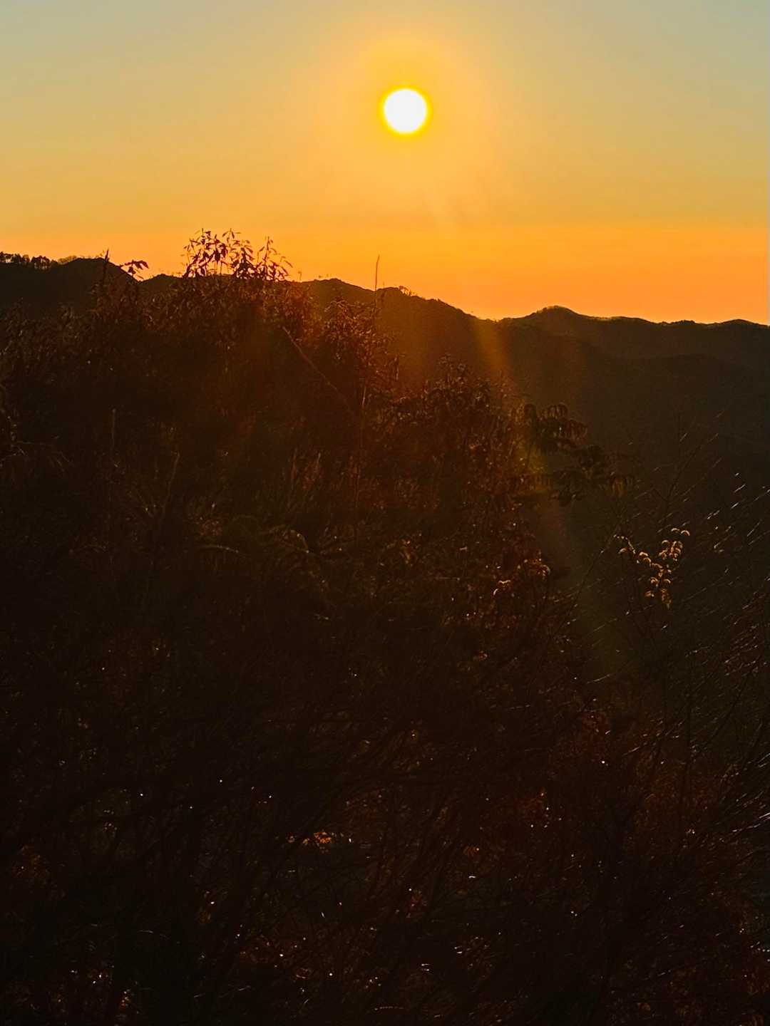 足利の山々⛰️