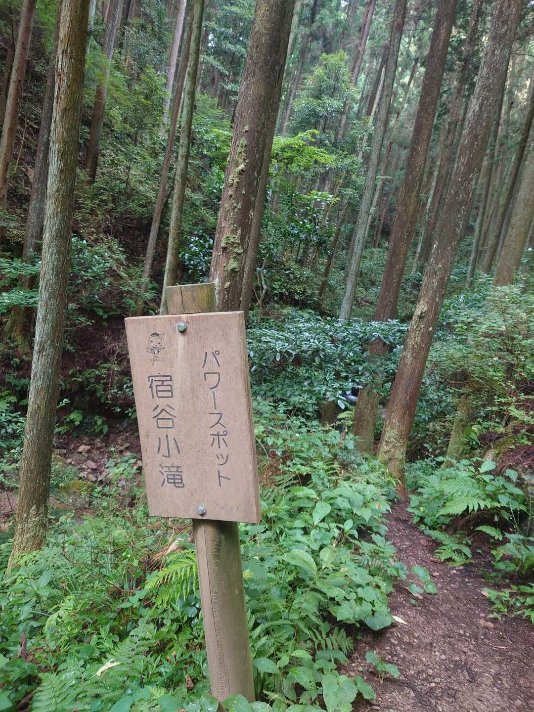 日和田山登山口-金刀比羅神社-日和田山-物見山 往復コースの写真