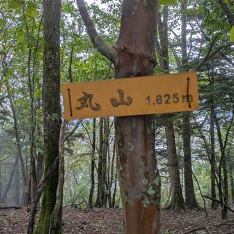 前来た時（数年前）は看板なかったかな？
ちなみに登山道を歩いてるうちに少しずつ息切れは収まってきた。
ロードが弱いんだなと改めて思います
（他にも岩鎖痩せ尾根トラバ雪高山に弱いです🫣）