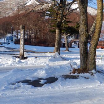 最初から雪あるね☃️